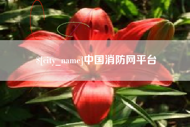 定西中国消防网平台