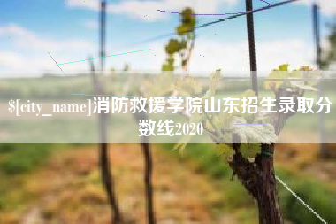 定西消防救援学院山东招生录取分数线2020