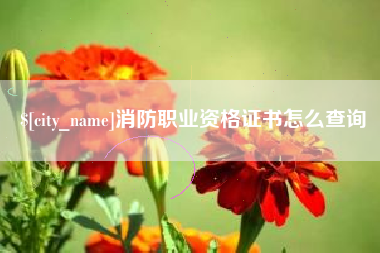 定西消防职业资格证书怎么查询