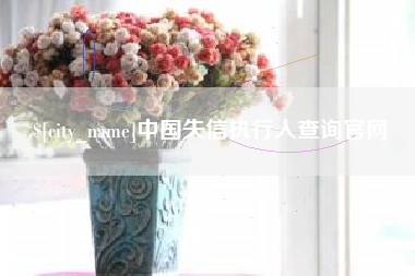 定西中国失信执行人查询官网