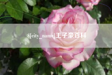 定西王子豪百科