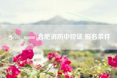 定西合肥消防中控证 报名条件
