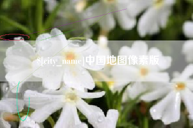 定西中国地图像素版