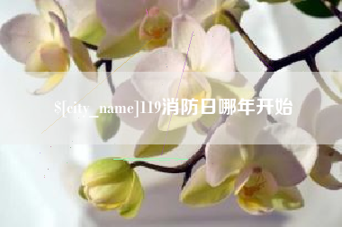 定西119消防日哪年开始
