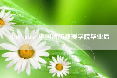 定西中国消防救援学院毕业后