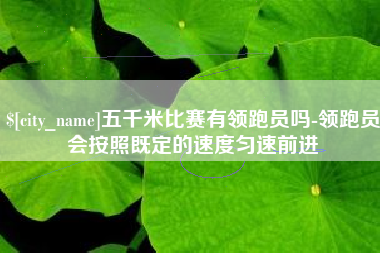 定西五千米比赛有领跑员吗-领跑员会按照既定的速度匀速前进
