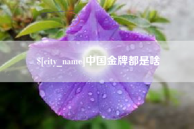 定西中国金牌都是啥