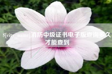 定西消防中级证书电子版查询多久才能查到