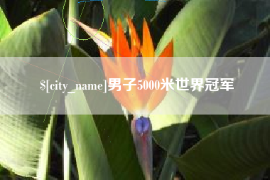 定西男子5000米世界冠军