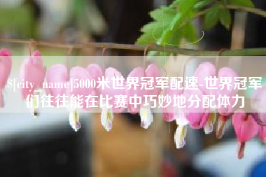 定西5000米世界冠军配速-世界冠军们往往能在比赛中巧妙地分配体力