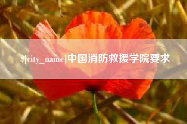 定西中国消防救援学院要求