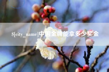 定西中国金牌能拿多少奖金