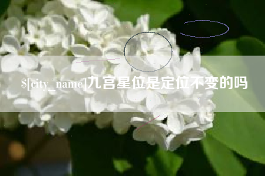 定西九宫星位是定位不变的吗