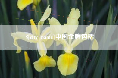 定西中国金牌包括