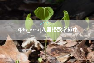 定西九宫格数字排序