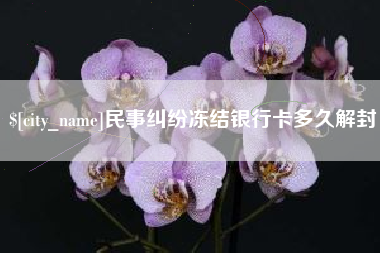 定西民事纠纷冻结银行卡多久解封
