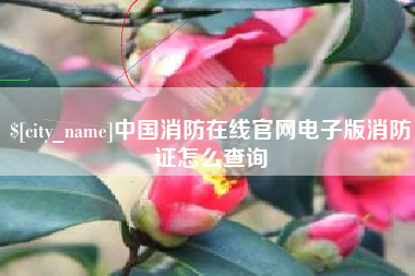 定西中国消防在线官网电子版消防证怎么查询