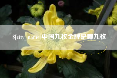 定西中国九枚金牌是哪九枚