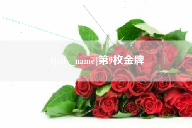 定西第9枚金牌
