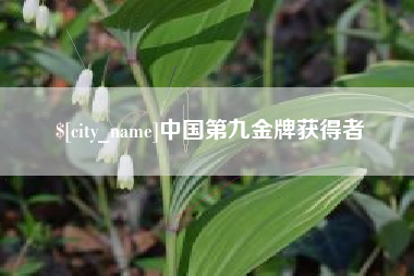 定西中国第九金牌获得者