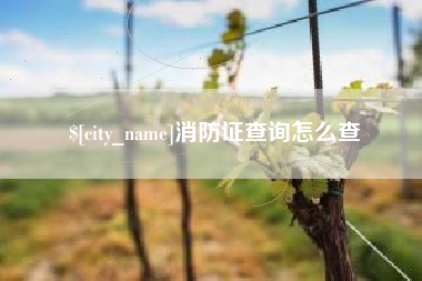 定西消防证查询怎么查