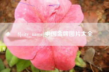 定西中国金牌图片大全