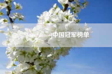 定西中国冠军榜单
