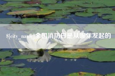 定西全国消防日是从哪年发起的