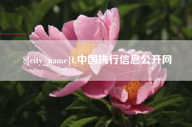 定西1.中国执行信息公开网