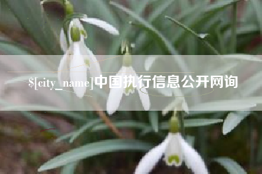 定西中国执行信息公开网询