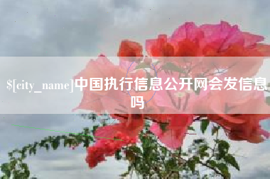 定西中国执行信息公开网会发信息吗