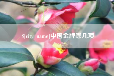 定西中国金牌哪几项