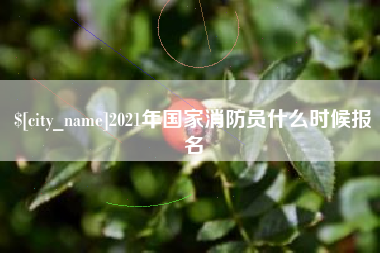 定西2021年国家消防员什么时候报名