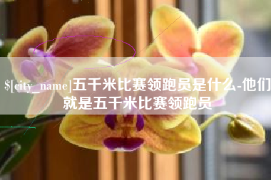 定西五千米比赛领跑员是什么-他们就是五千米比赛领跑员