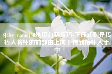 定西60米接力赛技巧-下压式则是传棒人将棒的前部由上向下传到接棒人手中