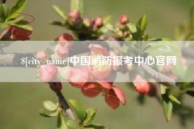定西中国消防报考中心官网