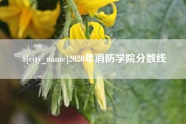 定西2020年消防学院分数线