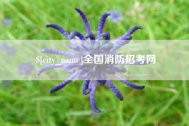 定西全国消防招考网