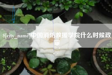 定西中国消防救援学院什么时候政审