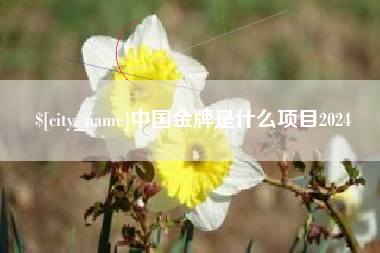 定西中国金牌是什么项目2024