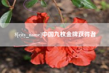 定西中国九枚金牌获得者