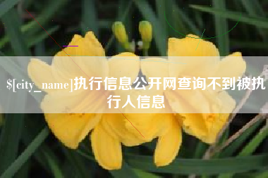定西执行信息公开网查询不到被执行人信息