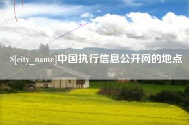 定西中国执行信息公开网的地点