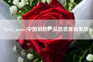 定西中国消防产品信息查询系统1