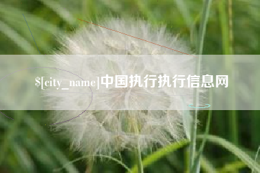 定西中国执行执行信息网