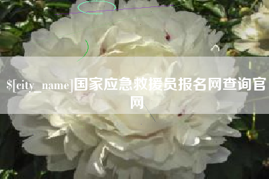 定西国家应急救援员报名网查询官网