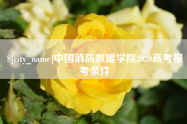 定西中国消防救援学院2020高考报考条件