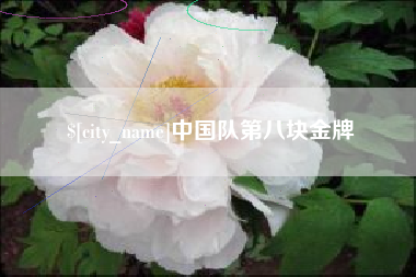 定西中国队第八块金牌