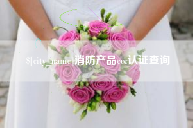 定西消防产品ccc认证查询