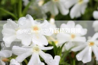 定西579九宫格如何排